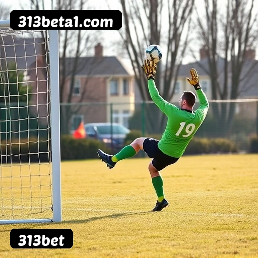 6 vantagens exclusivas do programa VIP da 313bet